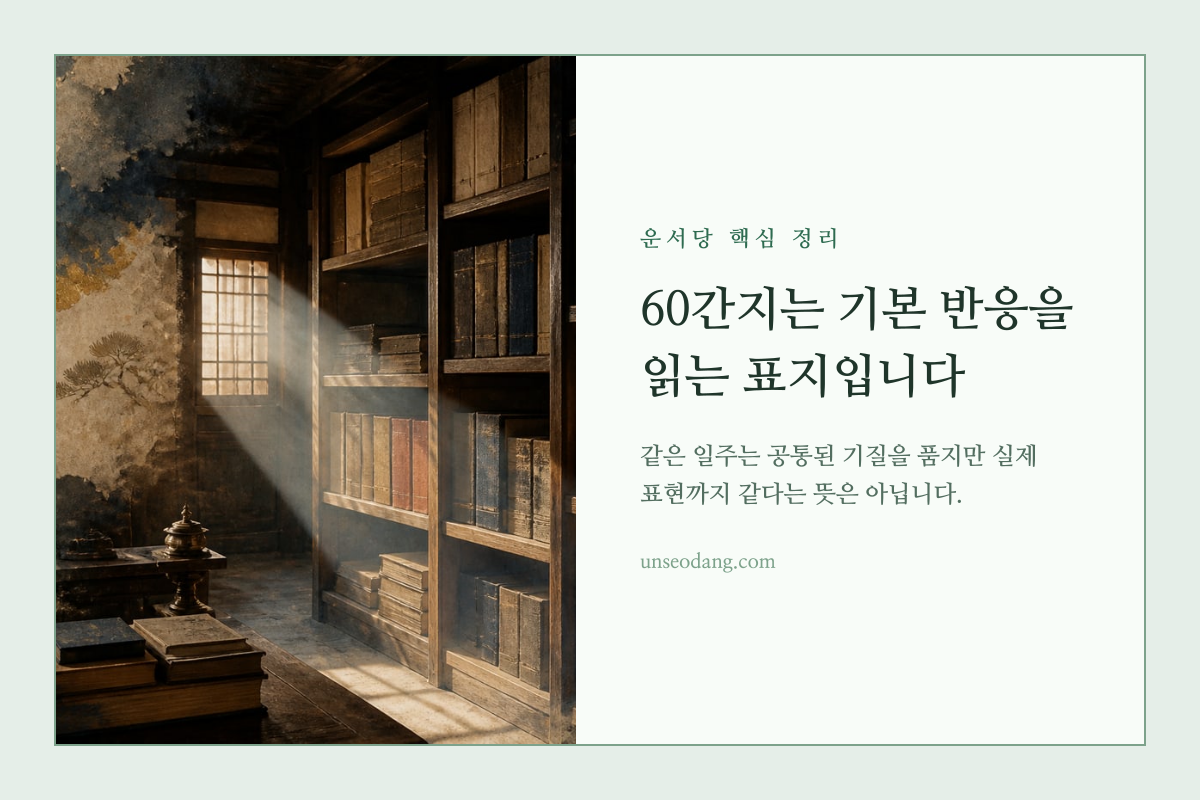 서로 다른 모습으로 자라는 같은 씨앗을 나타낸 60간지 성향 이미지