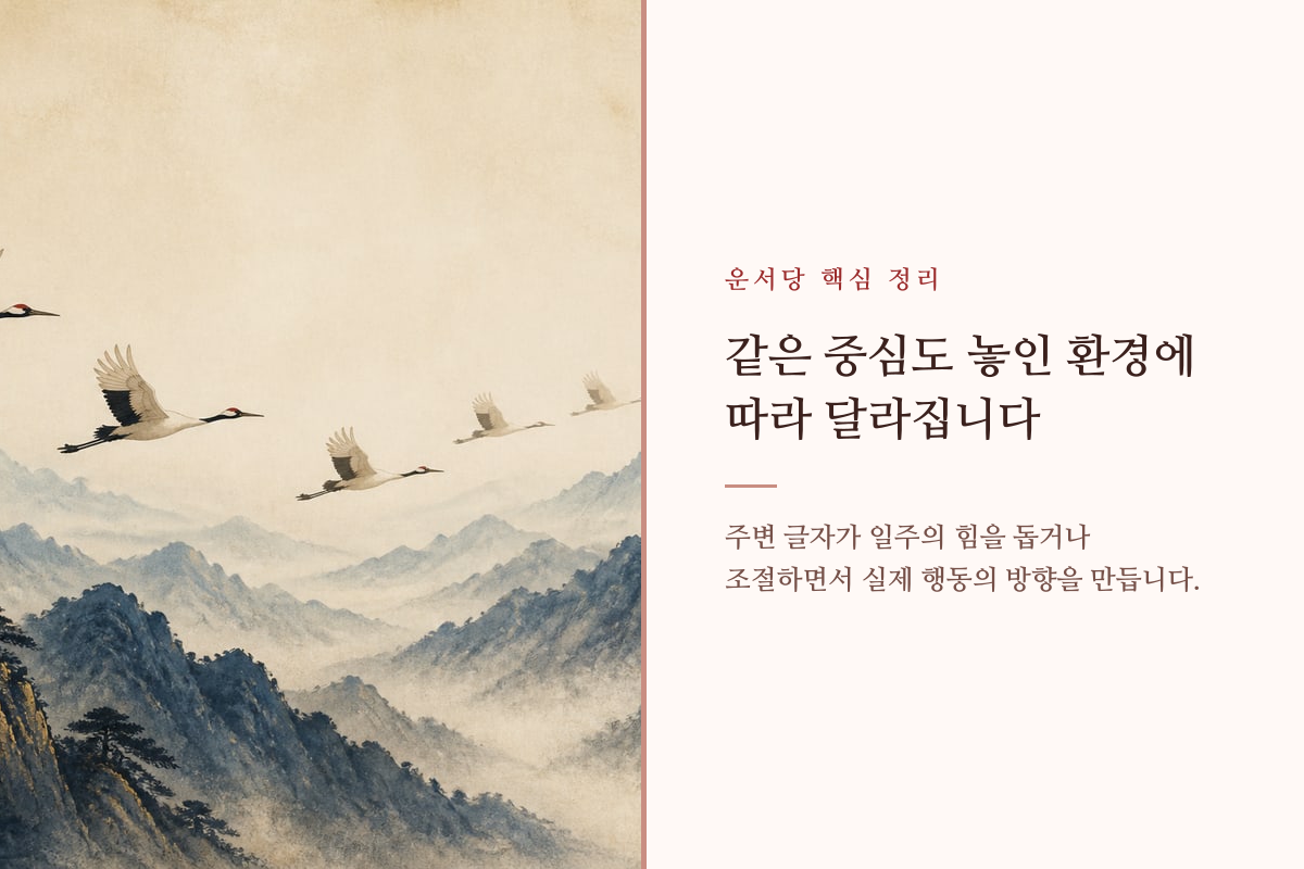 하나의 중심에서 서로 다른 방향으로 갈라지는 사주 조합 이미지