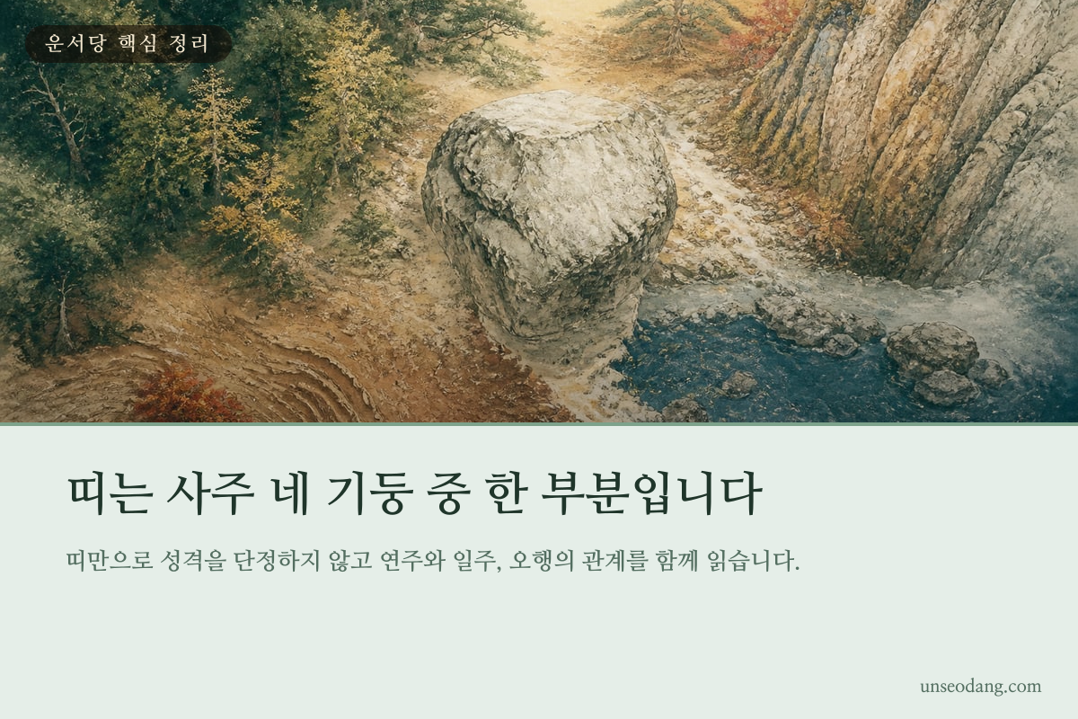 띠와 사주의 네 기둥 및 오행 관계를 정리한 이미지