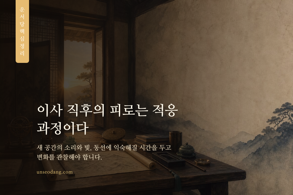이삿짐과 생활 도구가 놓인 새집에서 공간을 정돈하는 모습