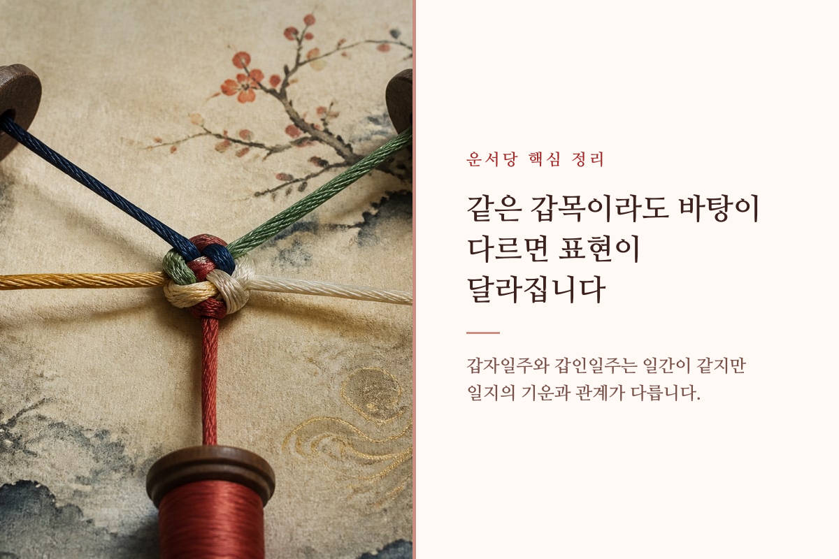 같은 갑목에서 서로 다른 두 일주 조합이 갈라지는 모습을 나타낸 이미지